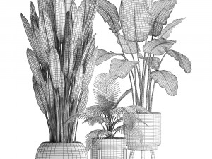 collection of exotic plants 400 3D 모델