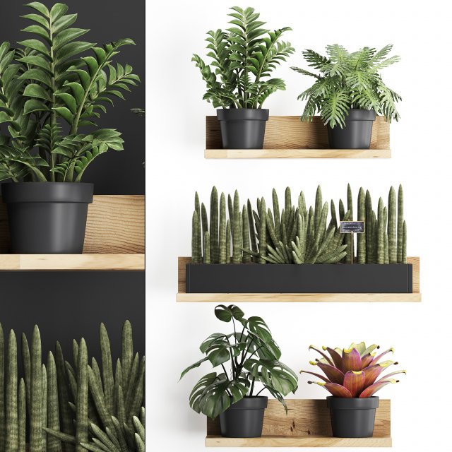 plant set wall decor vertical garden 401 Model 3D .c4d .max .obj .3ds .fbx .stl .blend 
