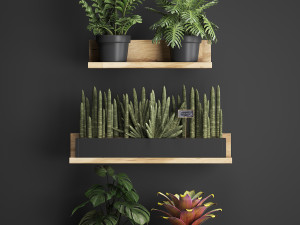 plant set wall decor vertical garden 401 Model 3D
