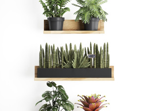 plant set wall decor vertical garden 401 Model 3D