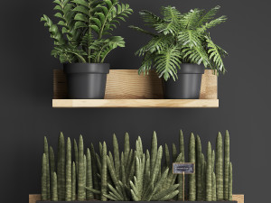 plant set wall decor vertical garden 401 Model 3D