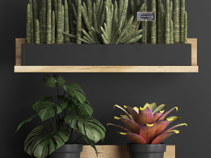plant set wall decor vertical garden 401 Model 3D