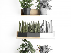 plant set wall decor vertical garden 401 Model 3D