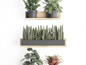 plant set wall decor vertical garden 401 Model 3D