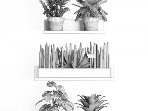plant set wall decor vertical garden 401 Model 3D