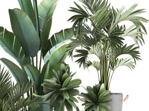 collection of exotic plants 402 3D Model