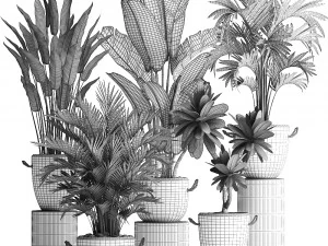 collection of exotic plants 402 3D Model