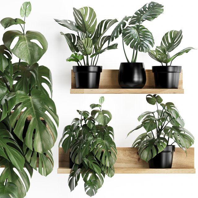 plant set wall decor vertical garden 403 monstera 3D Model .c4d .max .obj .3ds .fbx .stl .blend 
