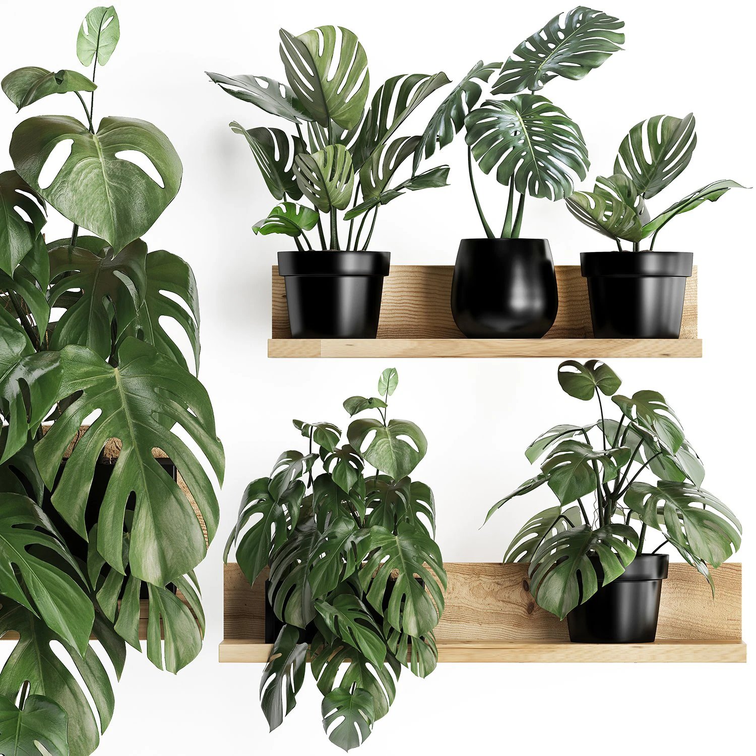 plant set wall decor vertical garden 403 monstera 3D Model .c4d .max .obj .3ds .fbx .stl .blend 