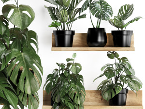 plant set wall decor vertical garden 403 monstera 3D Model