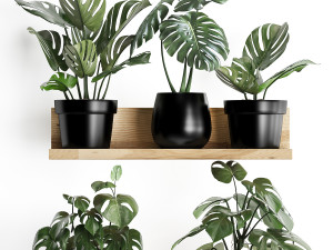 plant set wall decor vertical garden 403 monstera 3D Model