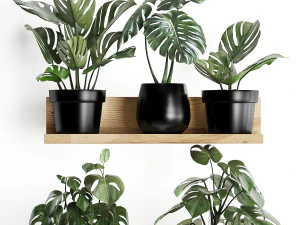 plant set wall decor vertical garden 403 monstera 3D Model