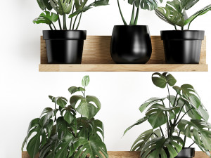 plant set wall decor vertical garden 403 monstera 3D Model