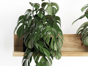 plant set wall decor vertical garden 403 monstera 3D Model