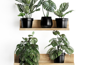 plant set wall decor vertical garden 403 monstera 3D Model
