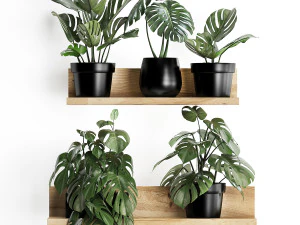 plant set wall decor vertical garden 403 monstera 3D Model