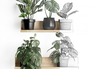 plant set wall decor vertical garden 403 monstera 3D Model