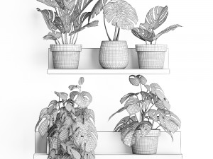 plant set wall decor vertical garden 403 monstera 3D Model