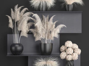 колекція сухоцвітів у вазах 91 3D Модель