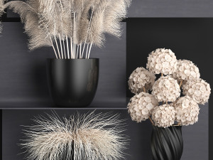 collection of dried flowers in vases 91 Model 3D