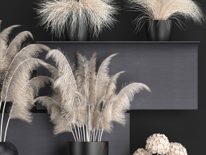 collection of dried flowers in vases 91 Model 3D