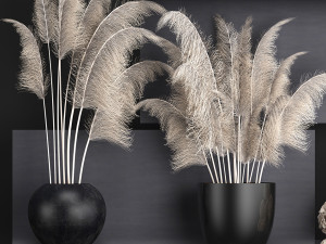 collection of dried flowers in vases 91 Model 3D