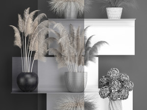 collection of dried flowers in vases 91 Model 3D