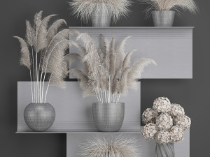 collection of dried flowers in vases 91 Model 3D