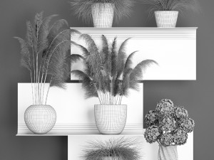 collection of dried flowers in vases 91 Model 3D