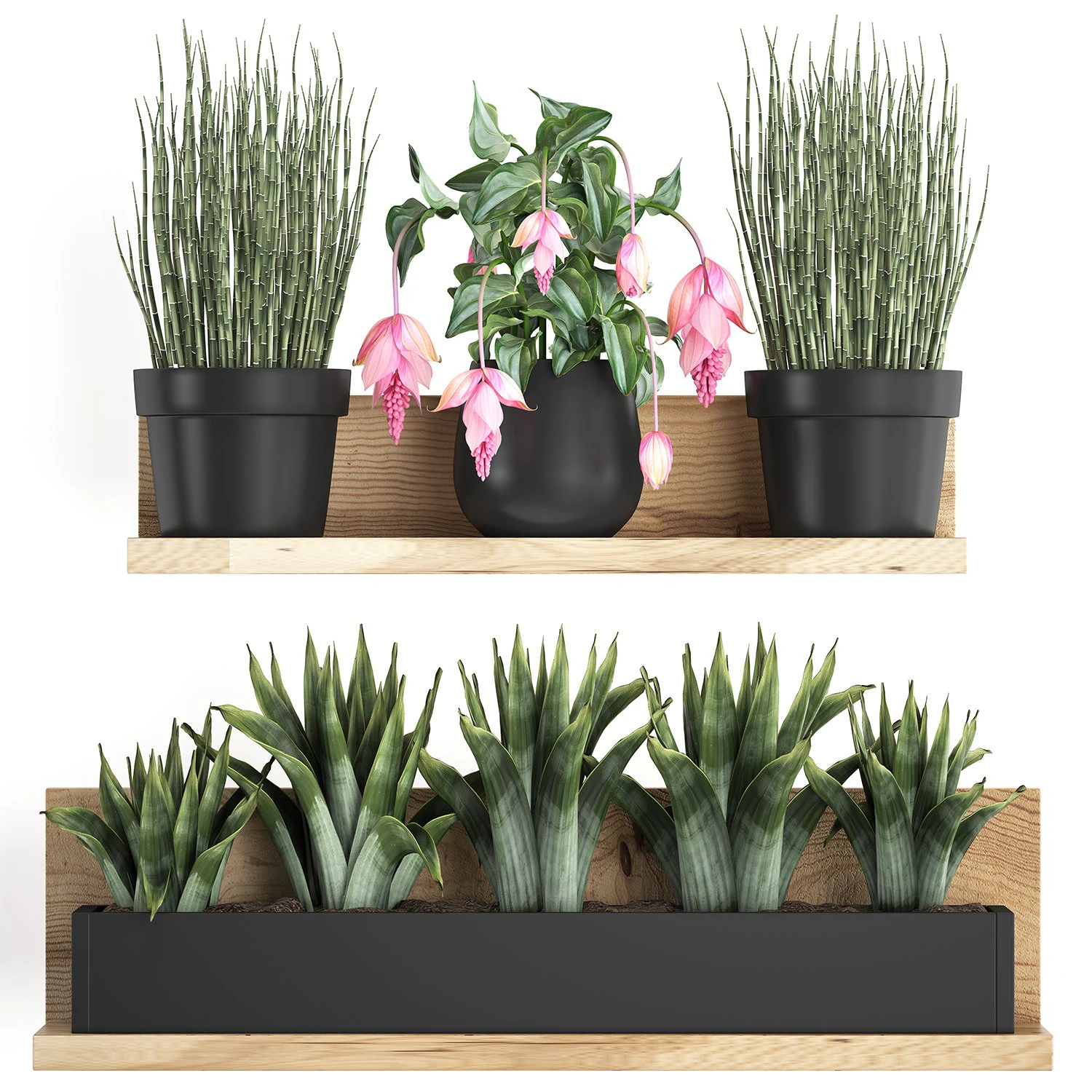 plant set wall decor vertical garden 404 3D Model .c4d .max .obj .3ds .fbx .stl .blend 