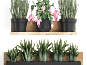plant set wall decor vertical garden 404 3D Model