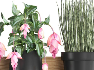plant set wall decor vertical garden 404 3D Model