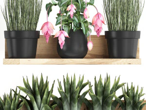 plant set wall decor vertical garden 404 3D Model