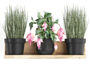 plant set wall decor vertical garden 404 3D Model