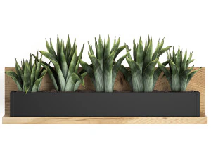 plant set wall decor vertical garden 404 3D Model