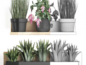 plant set wall decor vertical garden 404 3D Model