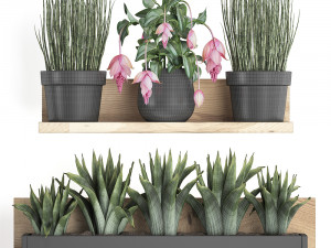 plant set wall decor vertical garden 404 3D 模型