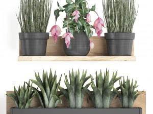 plant set wall decor vertical garden 404 3D Model