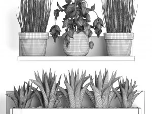 plant set wall decor vertical garden 404 3D Model