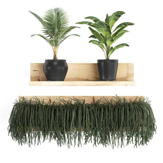 collection of exotic plants 406 3D Модель .c4d .max .obj .3ds .fbx .stl .blend 