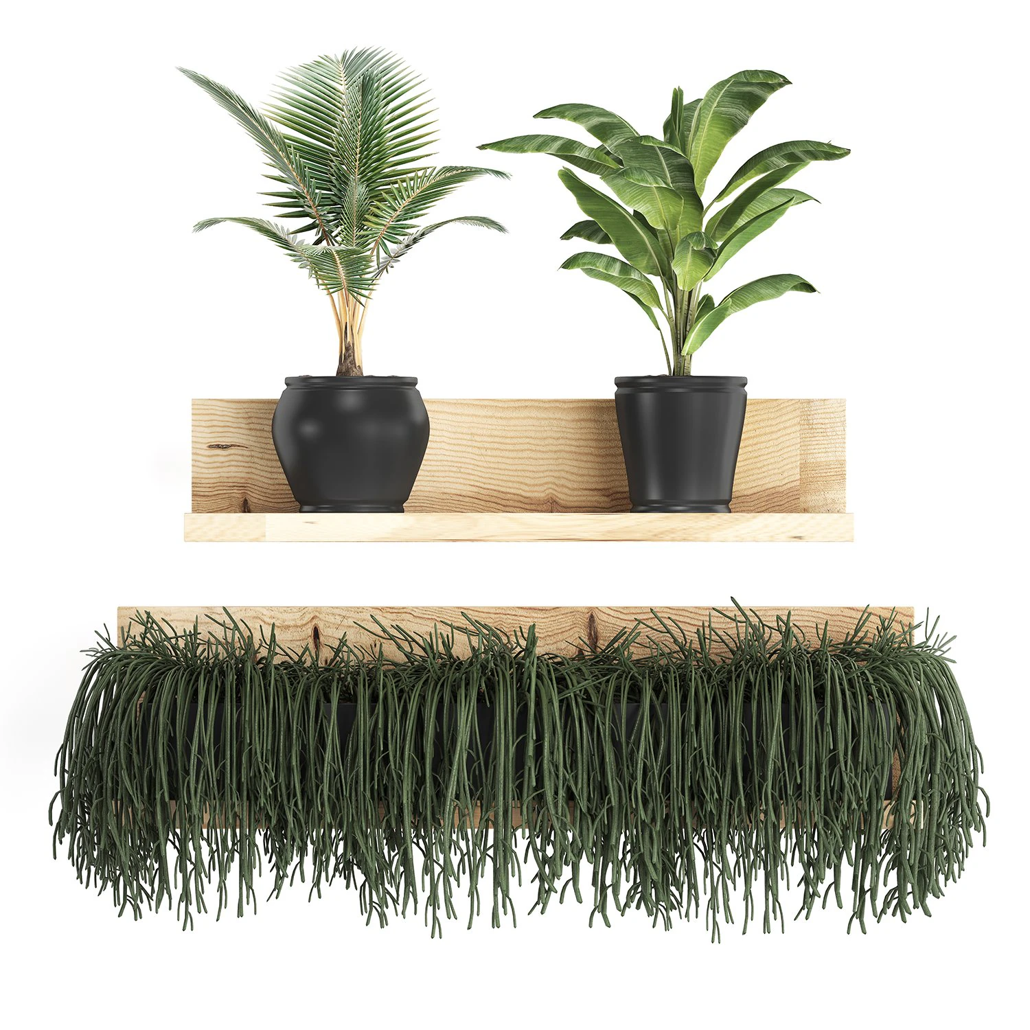 collection of exotic plants 406 3D Model .c4d .max .obj .3ds .fbx .stl .blend