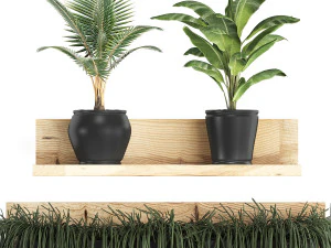 collection of exotic plants 406 3D Model