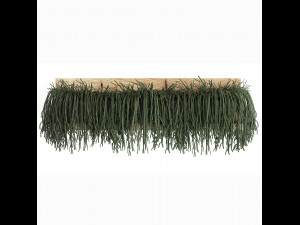 collection of exotic plants 406 3D Модель