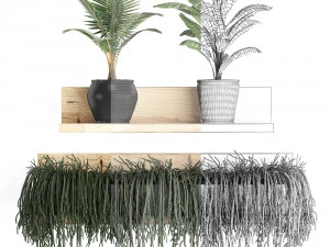 collection of exotic plants 406 3D Model