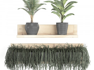 collection of exotic plants 406 3D Модель