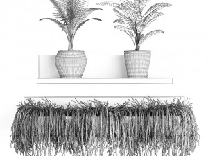 collection of exotic plants 406 3D Model