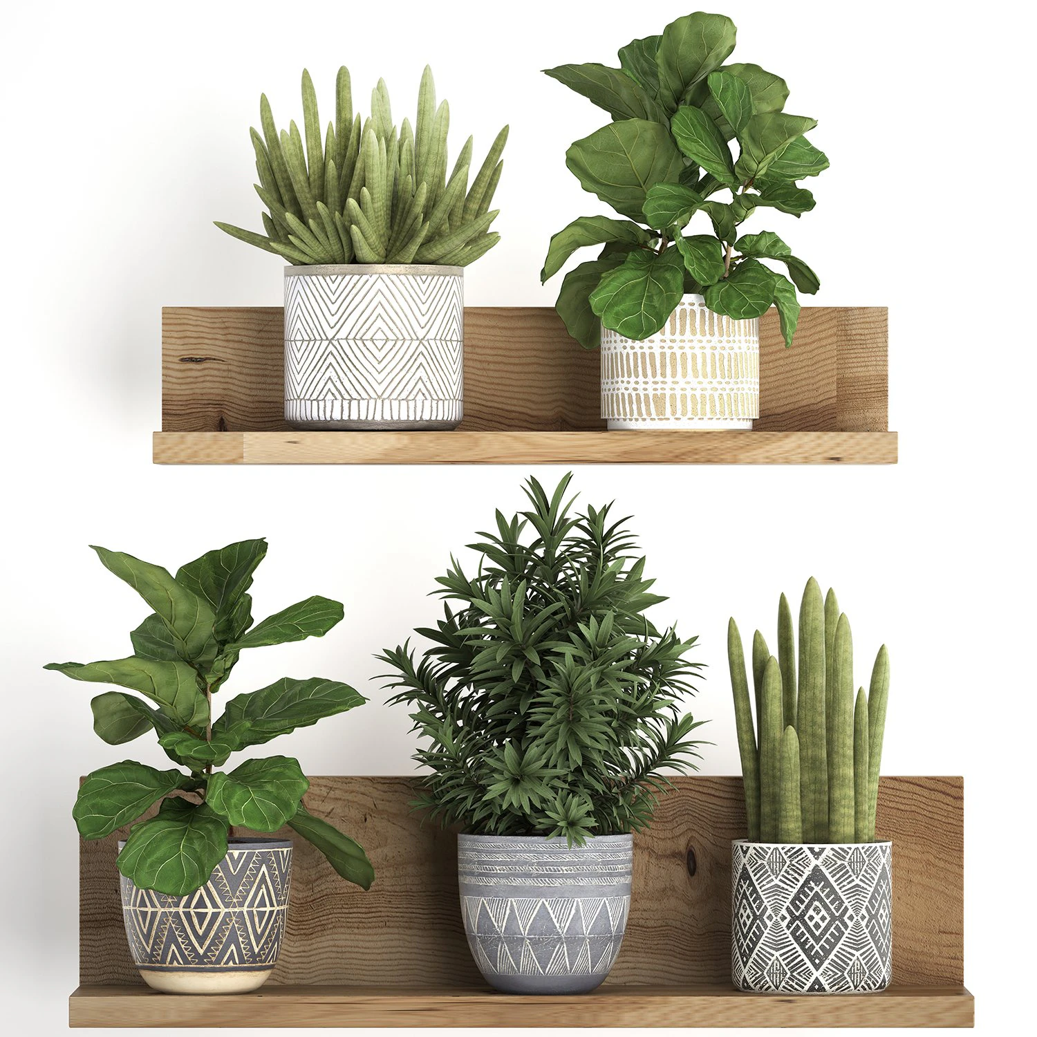 collection of exotic plants 407 3D Model .c4d .max .obj .3ds .fbx .stl .blend 