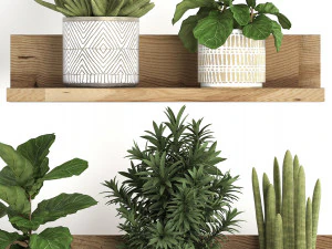 collection of exotic plants 407 3D Model