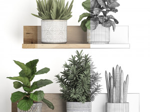 collection of exotic plants 407 3D मॉडल