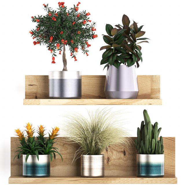 collection of exotic plants 409 3Dモデル .c4d .max .obj .3ds .fbx .stl .blend 